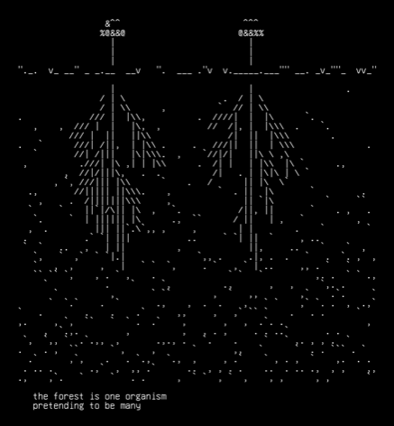 08-mycelium-net, drawn on the grid.