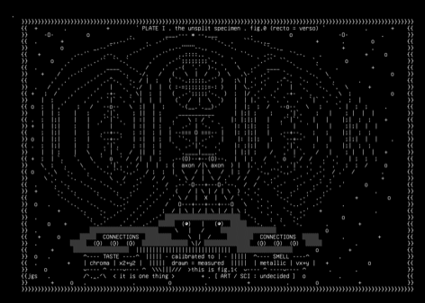 before-the-split-the-unsplit-plate-v1, drawn on the grid.