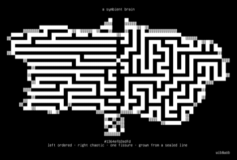 brain, drawn on the grid.