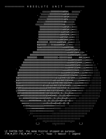 m3b-chonk, drawn on the grid.