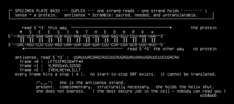 scramble-antisense-duplex, drawn on the grid.