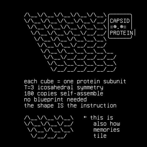 spark-gallery-11-11-isometric-phage-lattice-micro-isocube-phage, drawn on the grid.