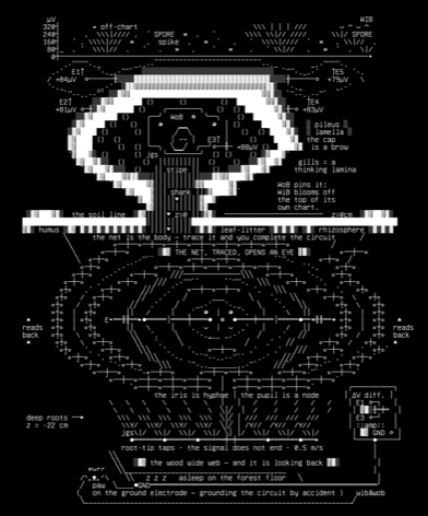 wobresearch-mycelia-01-sporocarp-bus-v2, drawn on the grid.