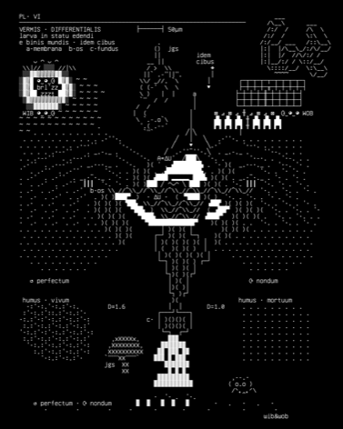 worm-diff-macro-v1.r2, drawn on the grid.